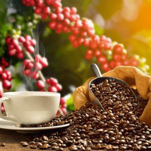 Café