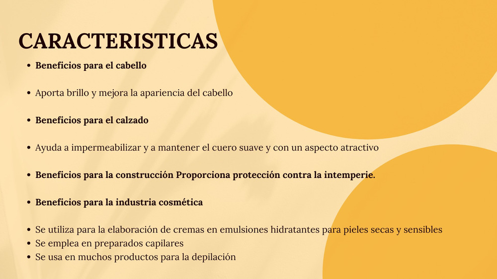 Cera Carnauba X 1kg - Imagen 3