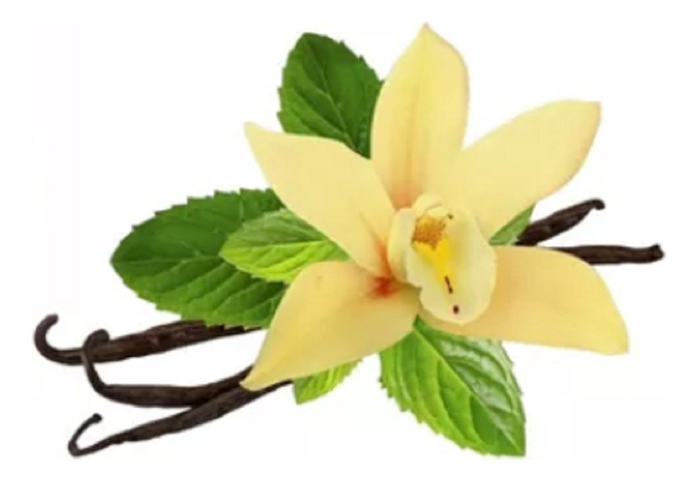 Esencia Hidrosoluble Aromaterapia Flores Vainilla X 250ml - Imagen 3