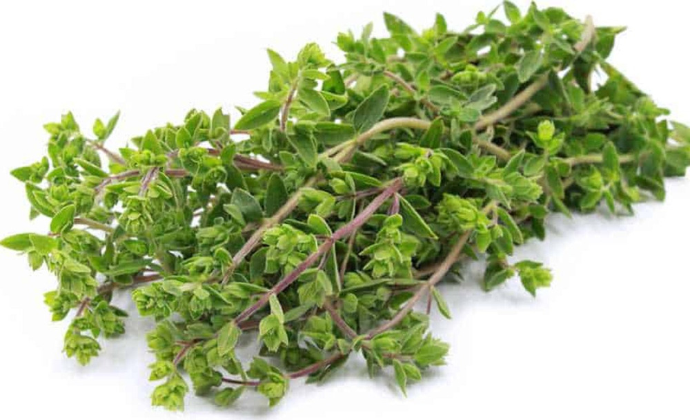 Aceite Esencial Mejorana 25ml - Imagen 3
