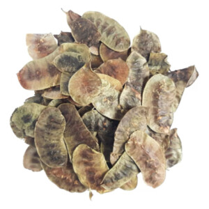 Acacia De La India X 1kg