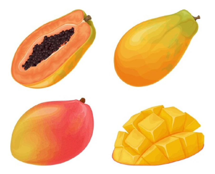 Esencia Hidrosoluble Aromaterapia Mango-papaya X 250ml - Imagen 3