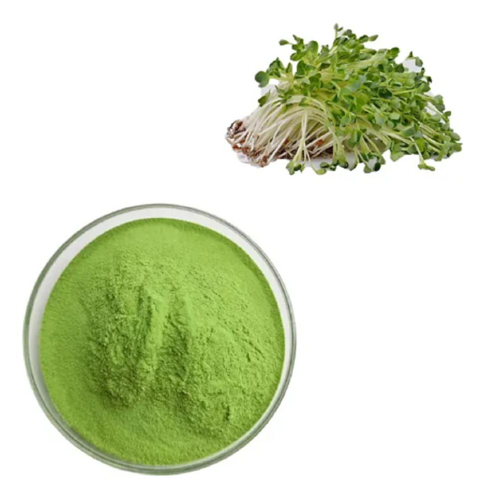 Alfalfa Polvo X 250gr - Imagen 3