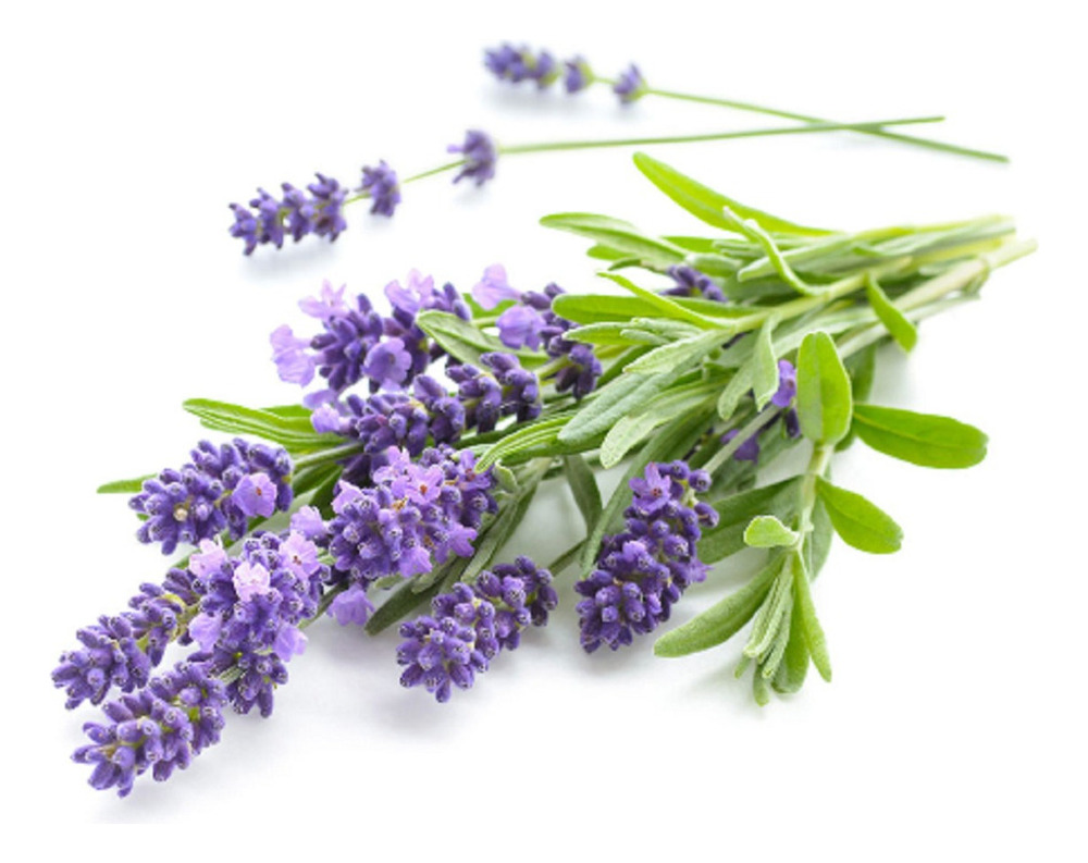 Esencia Hidrosoluble Aromaterapia Lavanda X 250ml - Imagen 3