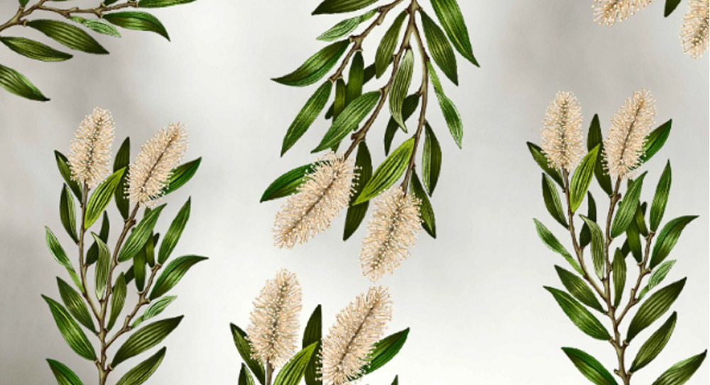 Aceite Esencial Arbol De Te 25ml - Imagen 4