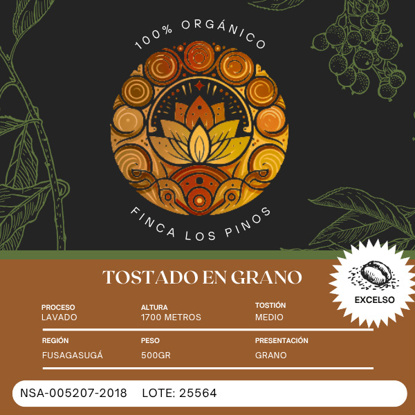 Cafe Tostado Grano + Molino - Imagen 3