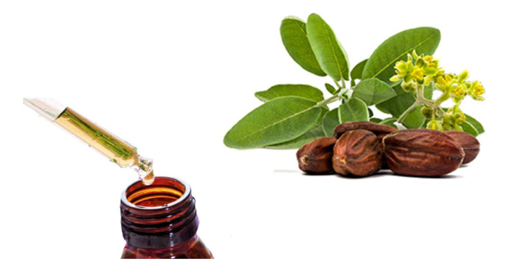 Aceite De Jojoba Botella 125ml - Imagen 3