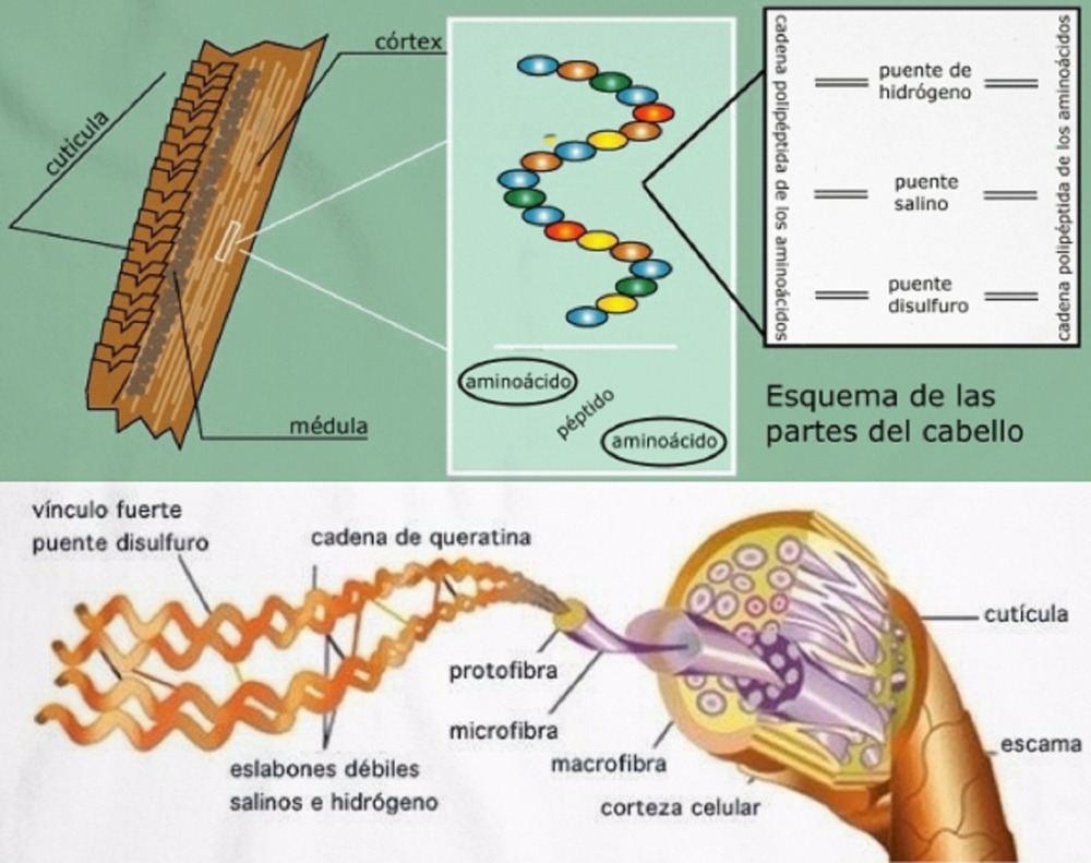 Extracto Natural Cosmetico Aminoacidos De Queratina 125ml - Imagen 3